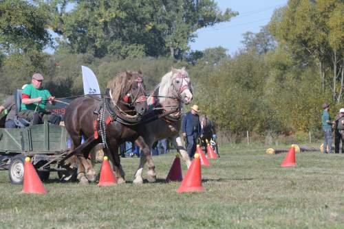 DSC_9101